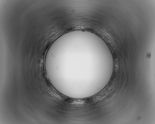 X0000101110369200806261114