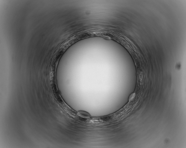 X0000101110372200806261115