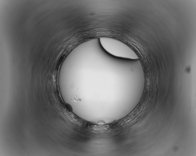 X0000101110373200806261115