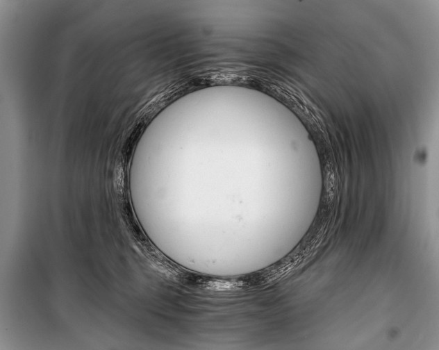 X0000101110375200806261115