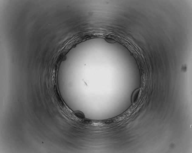 X0000101110376200806261115