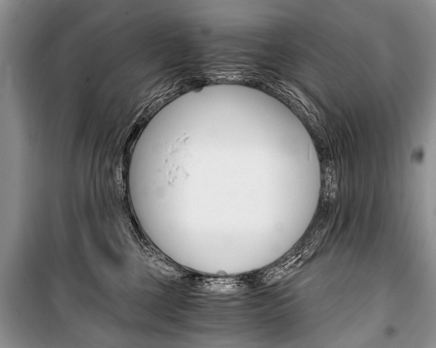 X0000101110377200806261115