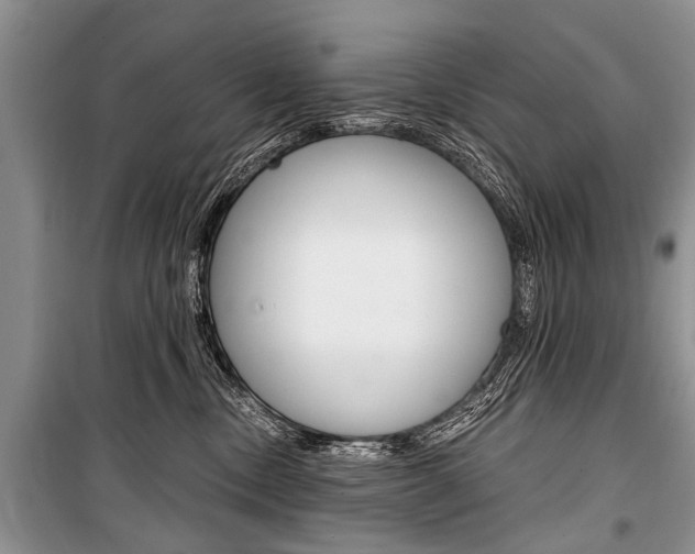 X0000101110378200806261115