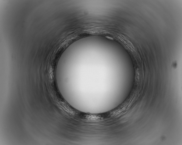 X0000101110380200806261115