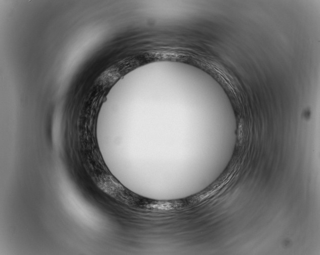 X0000101110381200806261115