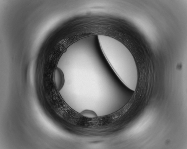 X0000101110383200806261115