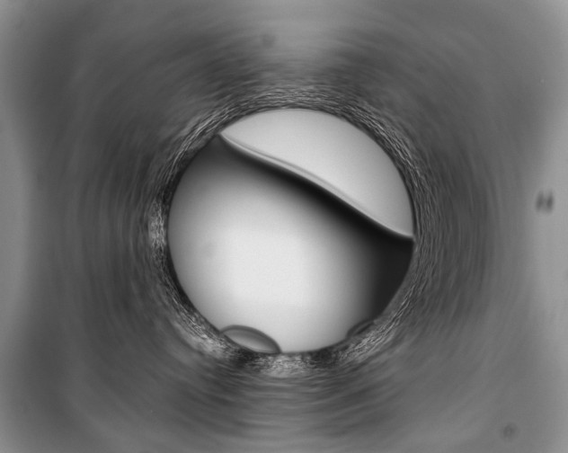 X0000101110384200806261115