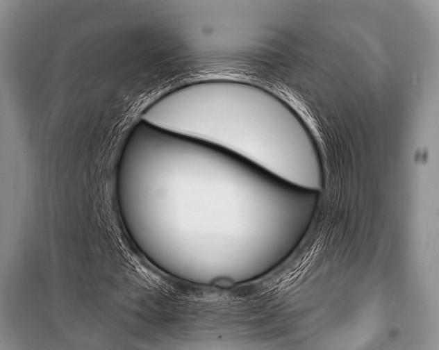 X0000101110385200806261114