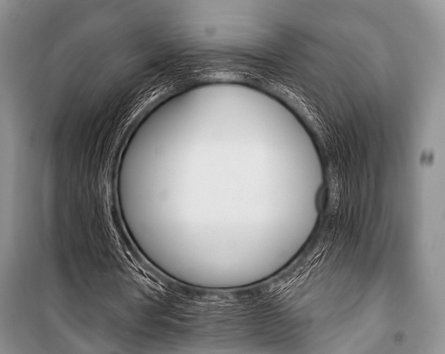 X0000101110386200806261114