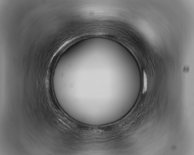 X0000101110387200806261114