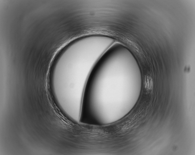 X0000101110388200806261114