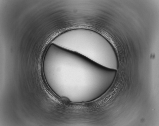 X0000101110389200806261114