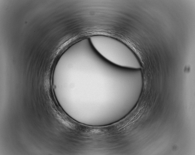X0000101110390200806261114
