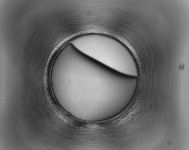 X0000101110391200806261114