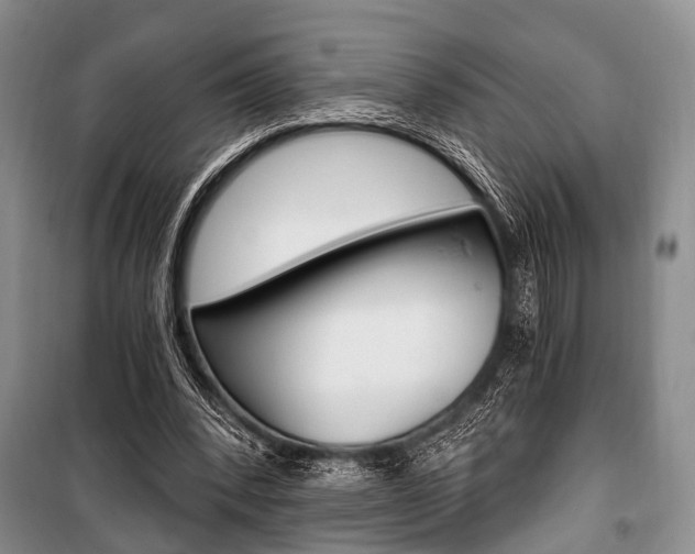 X0000101110392200806261114