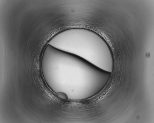 X0000101110393200806261114