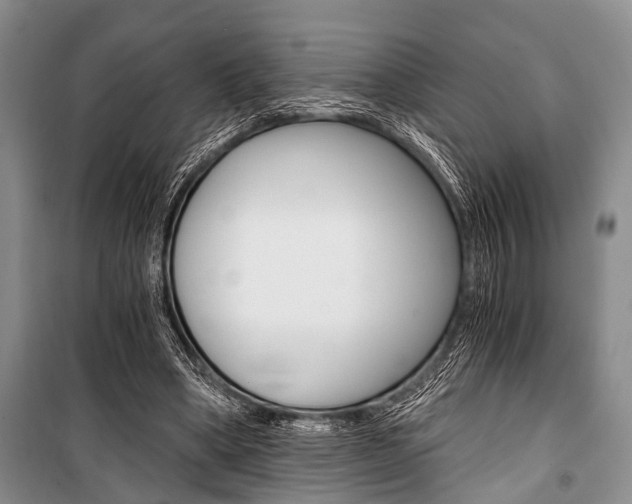 X0000101110394200806261114