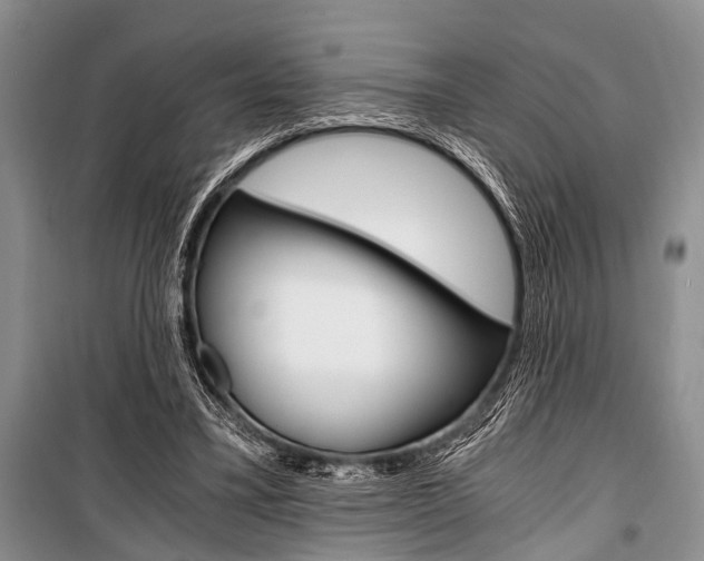 X0000101110395200806261114