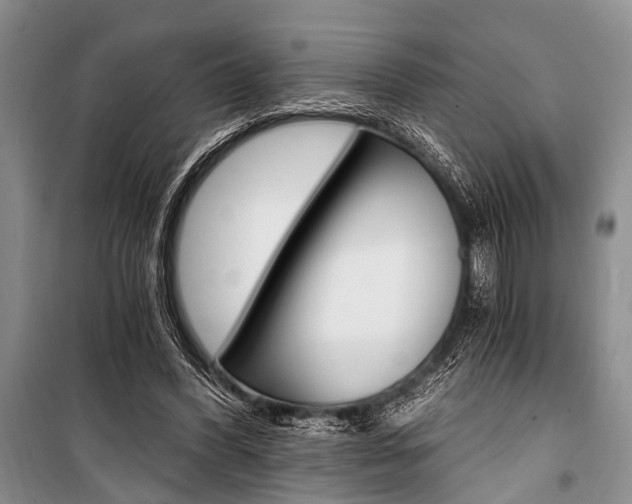 X0000101110396200806261114