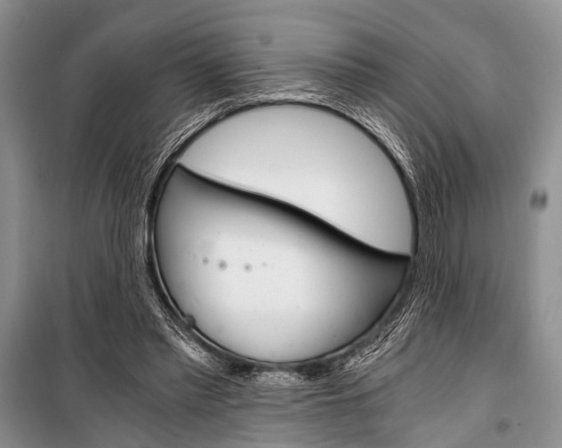 X0000101110397200806261114