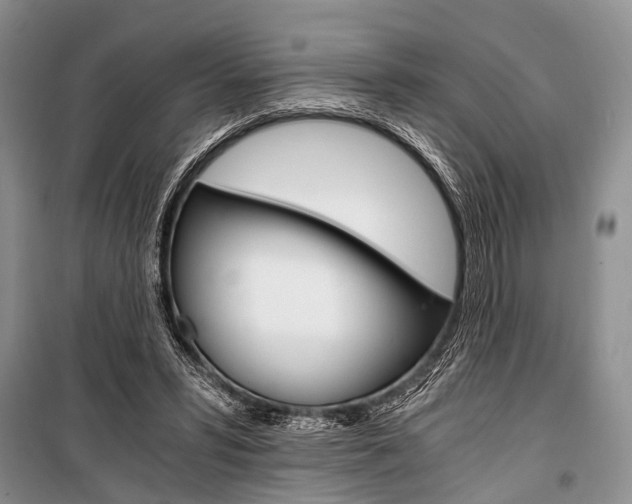 X0000101110399200806261114