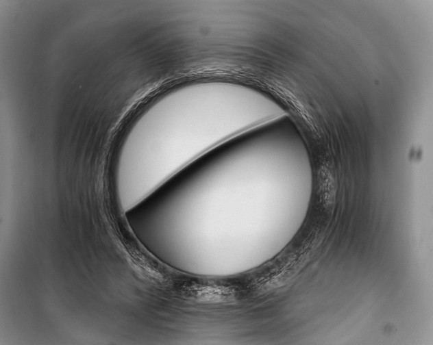 X0000101110400200806261114