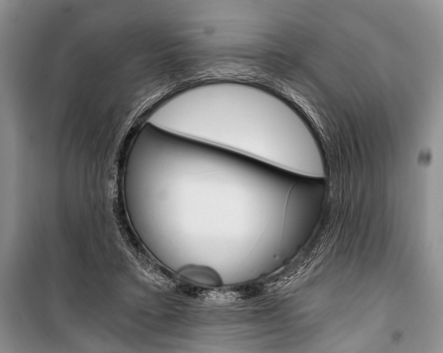X0000101110403200806261114