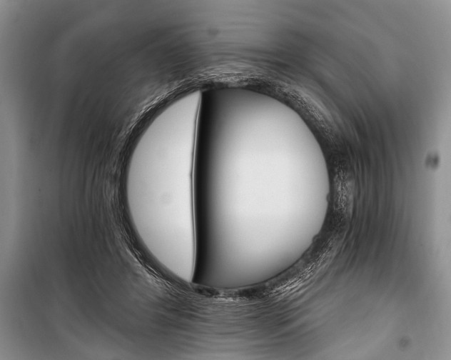 X0000101110404200806261114