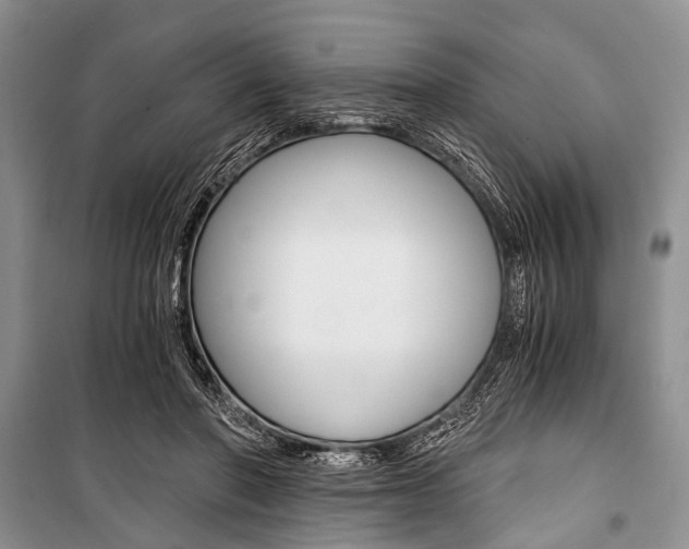 X0000101110406200806261114