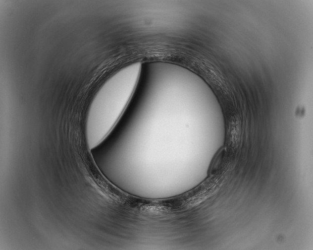 X0000101110408200806261114