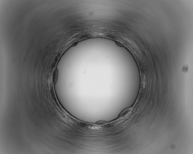 X0000101110409200806261114