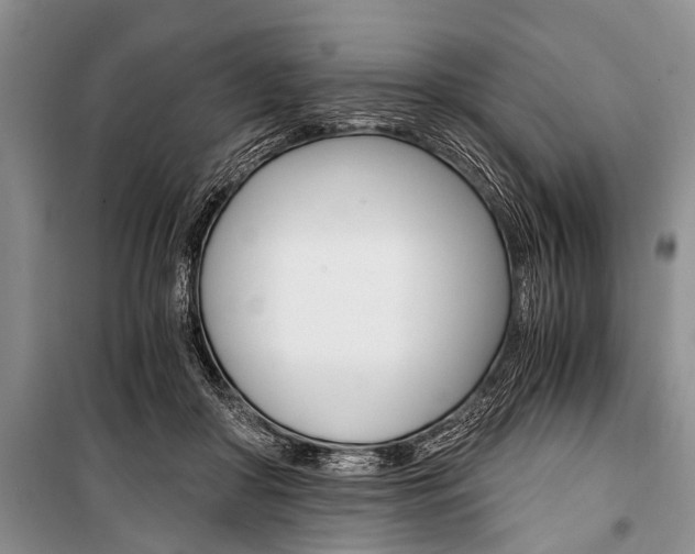 X0000101110410200806261114