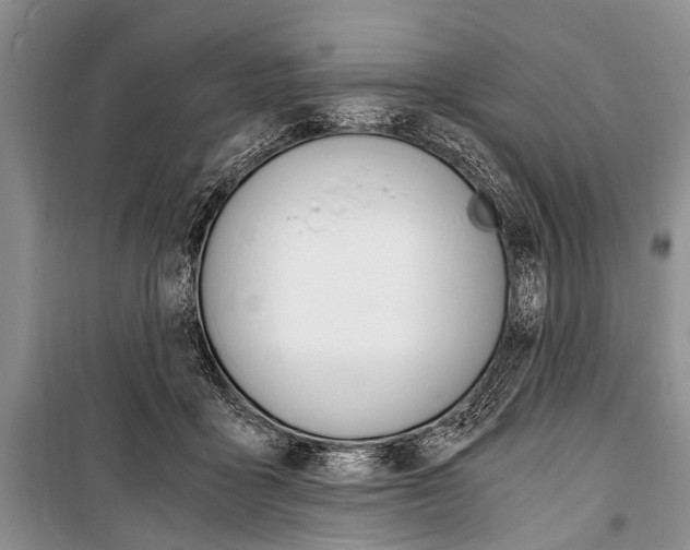 X0000101110411200806261114
