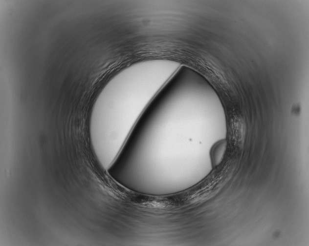X0000101110412200806261114