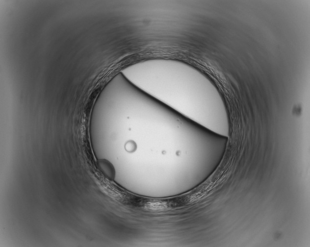 X0000101110413200806261114
