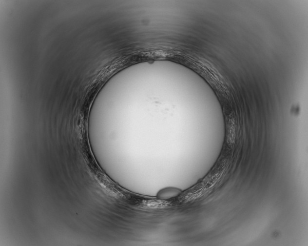X0000101110414200806261114