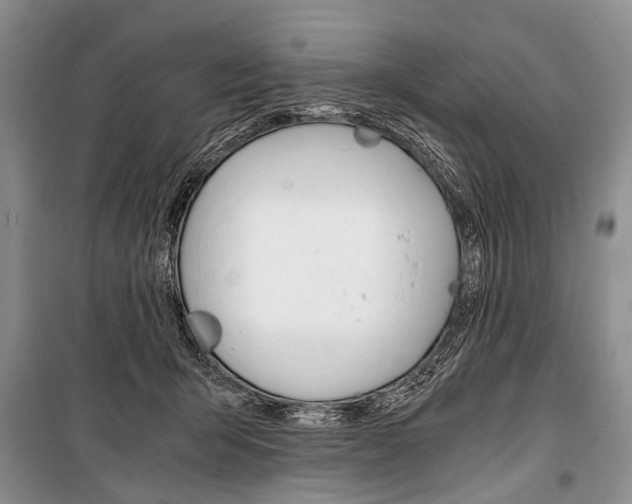 X0000101110415200806261114