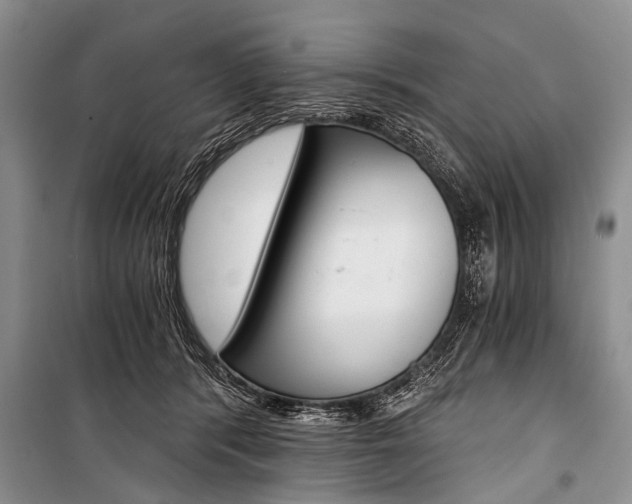X0000101110416200806261113
