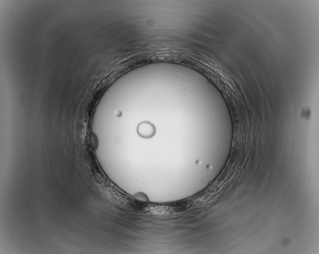X0000101110417200806261113
