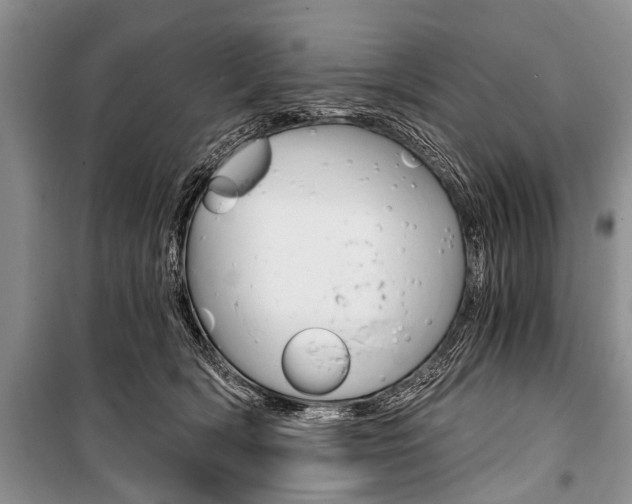X0000101110418200806261113