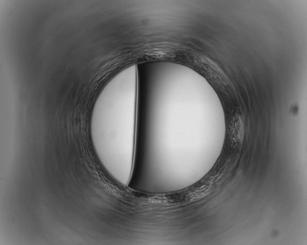 X0000101110420200806261113