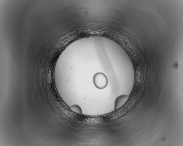 X0000101110422200806261113