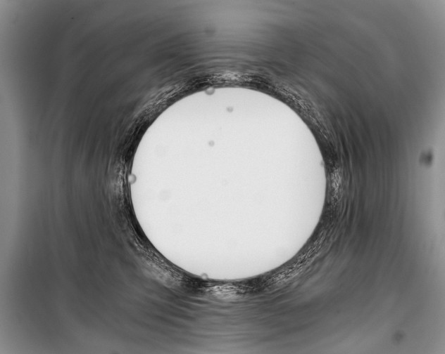 X0000101110423200806261113