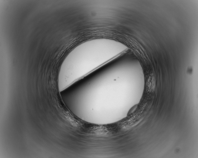 X0000101110424200806261113