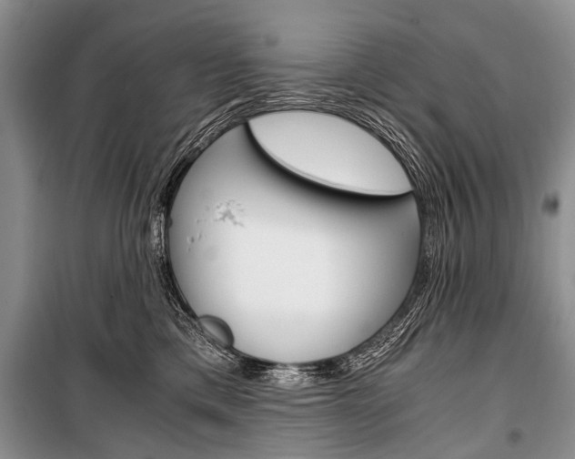 X0000101110425200806261113