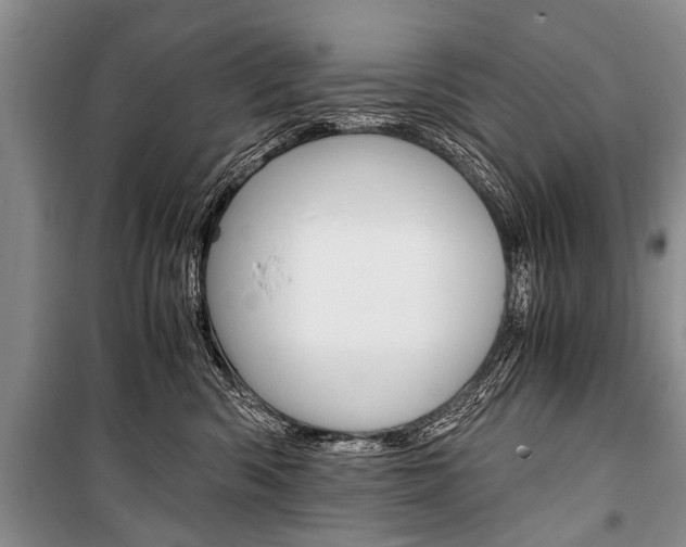 X0000101110426200806261113