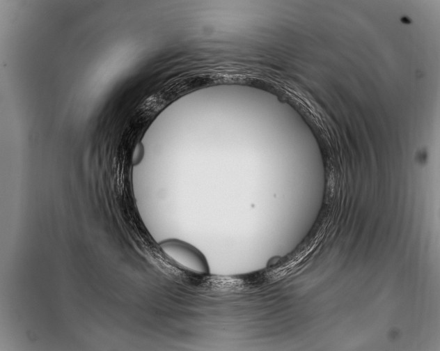 X0000101110429200806261113