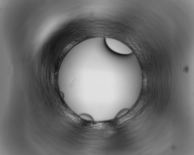 X0000101110430200806261113