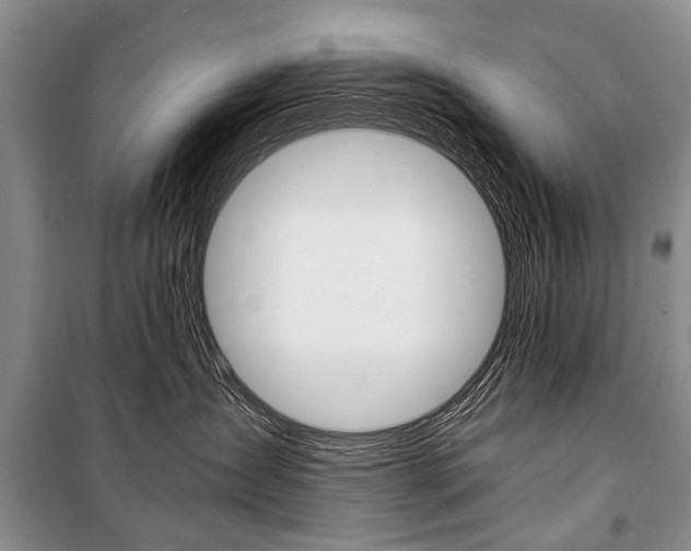 X0000101110431200806261113