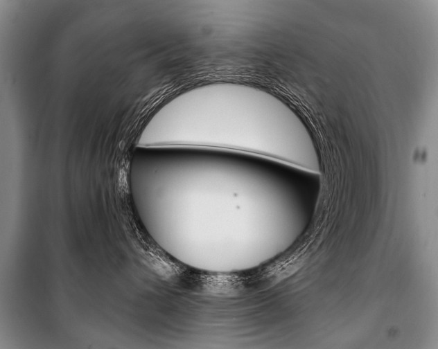 X0000101110432200806261113